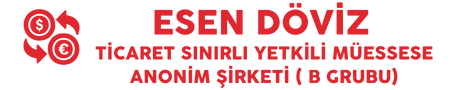 ESEN DÖVİZ TİCARET SINIRLI YETKİLİ MÜESSESE ANONİM ŞİRKETİ ( B GRUBU)